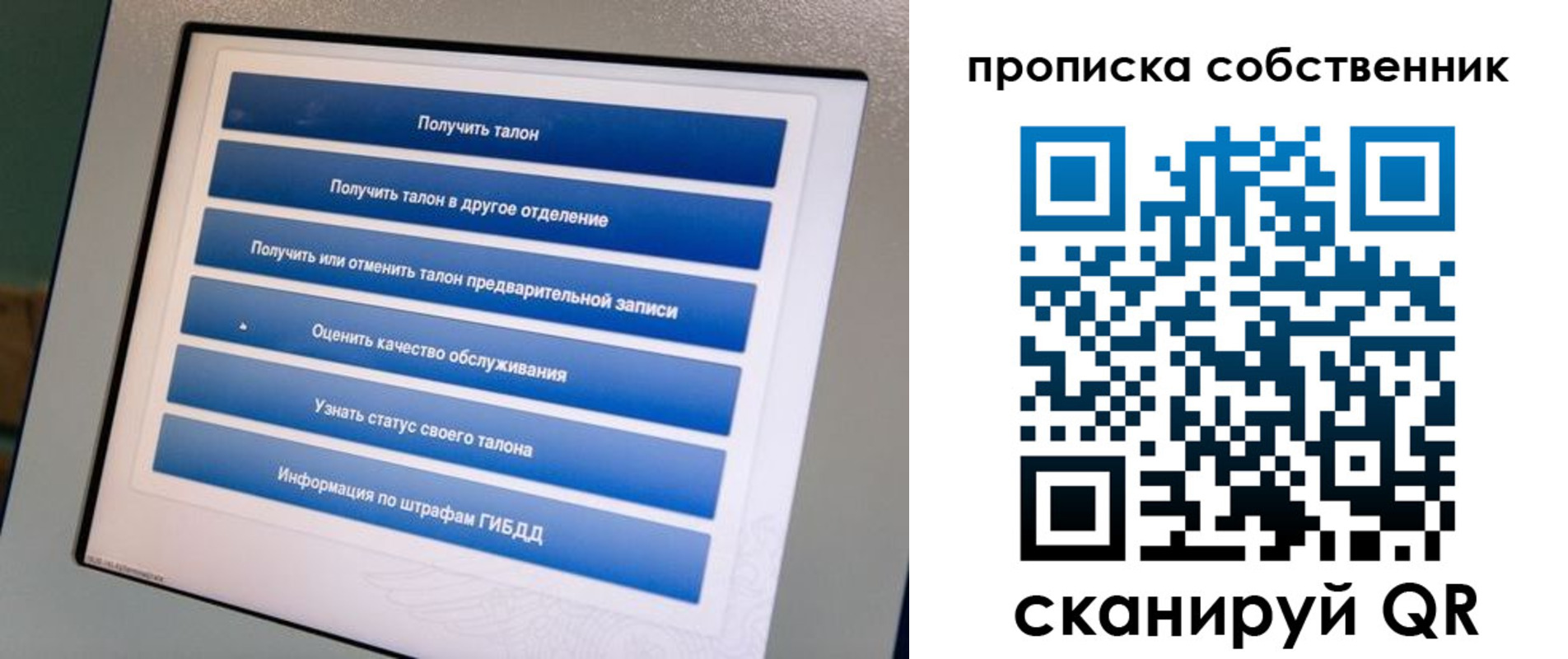 прописка поиск в Ногинске